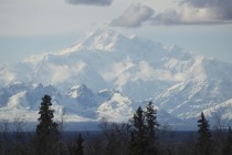 Na Aljasci otkriven fosil reptila