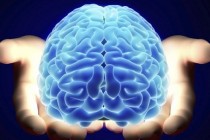 Klonirani mozak pokazat će nam lijek za shizofreniju i Parkinsonovu bolest