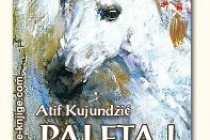Osvrt na knjigu “Paleta i dlijeto”, Atifa Kujundžića