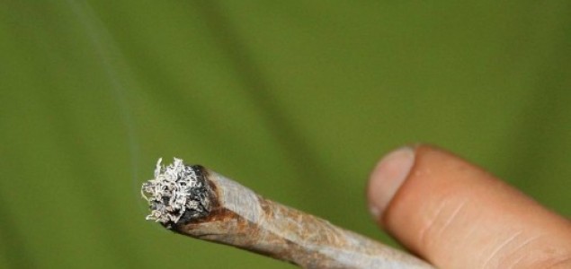 Sud u Kelnu: Teški bolesnici mogu uzgajati marihuanu