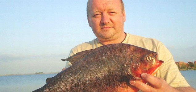 Ruski ribar ulovio gigantsku piranju tešku čak 2,4 kilograma