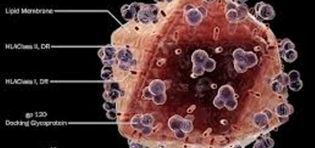 Pronađene ćelije otporne na HIV virus?