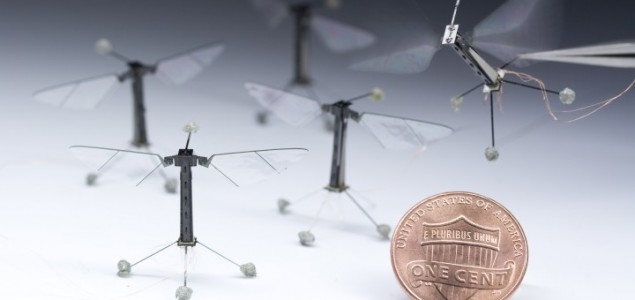 Roboti-insekti izveli prvi kontrolni let