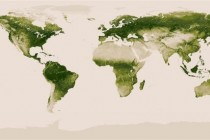 Koliko je zaista zelena Zemlja?