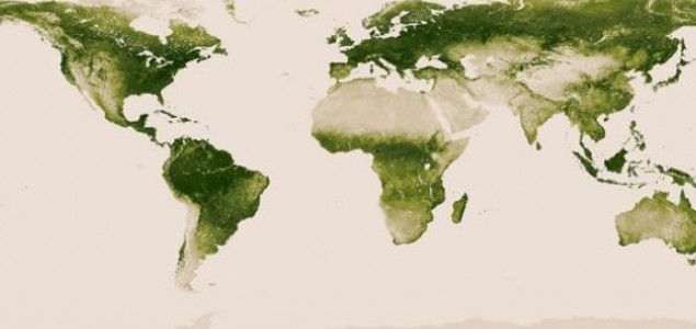Koliko je zaista zelena Zemlja?