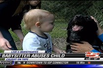 Pas spasio bebu od zlostavljanja