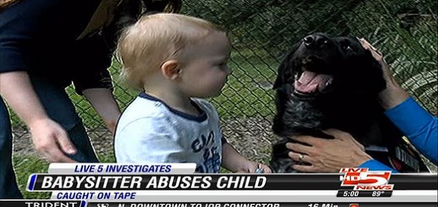 Pas spasio bebu od zlostavljanja
