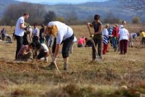 U Sarajevu će volonteri zasaditi 22.000 stabala, akcija i u ostatku BiH