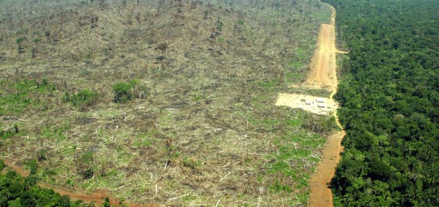 Amazon: U ovoj godini uništeno 5.843 km2 šume