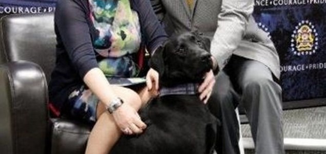 Labrador dobio prvu nagradu za “životinjskog junaka”