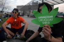 Urugvaj legalizovao uzgoj, prodaju i konzumaciju marihuane