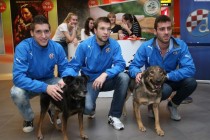 Dinamovci su spasili pse, Ivo Pinto i Jerko Leko imaju ih pet