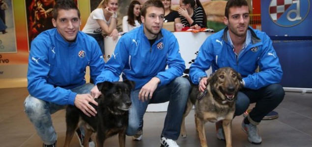 Dinamovci su spasili pse, Ivo Pinto i Jerko Leko imaju ih pet