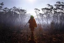Nezapamćene temperature: Australijom bijesni više od 250 požara