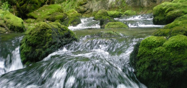 Svjetski dan voda: BiH jedna od rijetkih zemalja za značajnim rezervama pitke vode