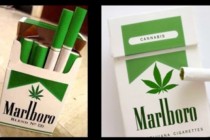 Koliko bi zapravo koštala kutija cigareta od marihuane?
