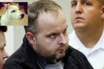 Pravda je zadovoljena: Osuđen na 55 godina zatvora zbog brutalnog zlostavljanja psa!