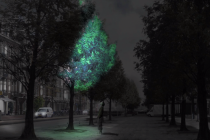 Bioluminiscentno drveće jednog bi dana moglo osvjetljavati ulice