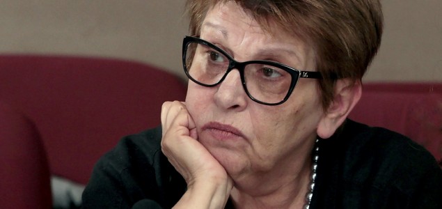 Lejla Dragnić: Kozmetičke izmjene zakona o stranim investicijama