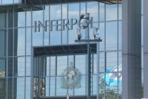 I Interpol se baca u borbu protiv ekoloških zločinaca