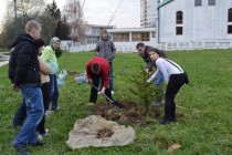 Akcijom sađenja drveća i dodjele nagrada završen projekat “E-OVAMO”