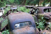 Šuma prepuna starih automobila, Belgija