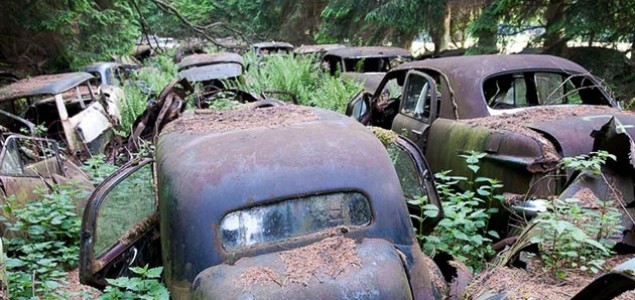 Šuma prepuna starih automobila, Belgija
