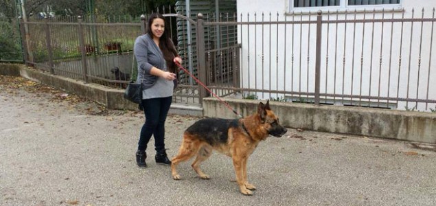 Udomljavanje pasa lutalica u Mostaru