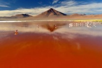 Laguna Colorada, Crveno jezero u Boliviji
