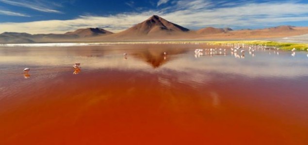 Laguna Colorada, Crveno jezero u Boliviji