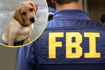 FBI zlostavljanje životinja počinje da tretira kao “zločin protiv društva”!
