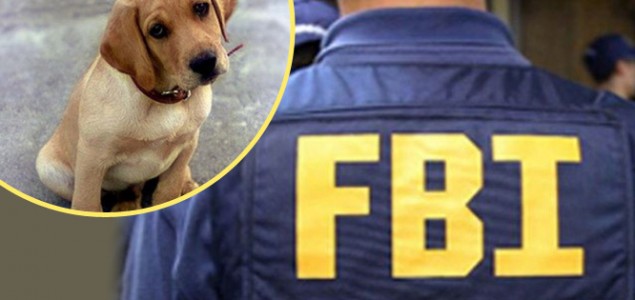 FBI zlostavljanje životinja počinje da tretira kao “zločin protiv društva”!