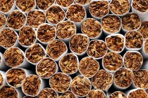 Inozemni proizvođači i siva ekonomija prijete da unište bh. proizvođače duhana