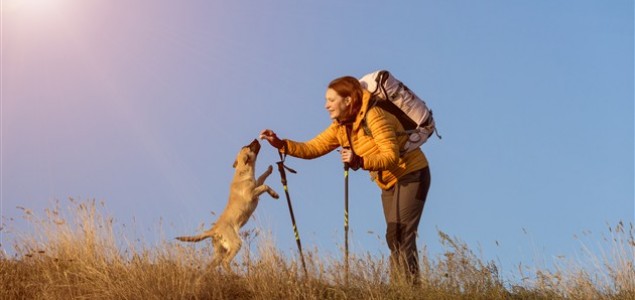 Evo zašto je odlično voditi pse na kampiranje