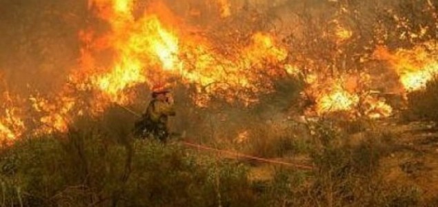 Požari u Hercegovini: Vatra ugrozila domove, sumnja se da su podmetnuti