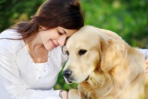 Obuka pasa za pomoć kod epilepsije