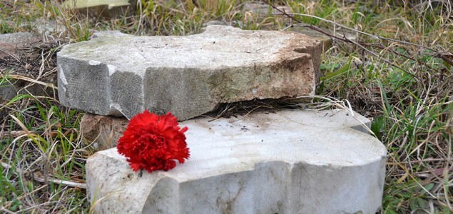 Predrag Lucić: Ubijanje Partizanskog groblja