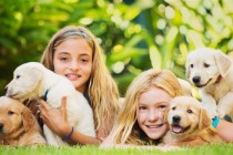 Jesu li djeca i psi savršena kombinacija?