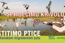 Kampanja “Spriječimo krivolov – Zaštitimo ptice na Jadranskom migratornom putu”