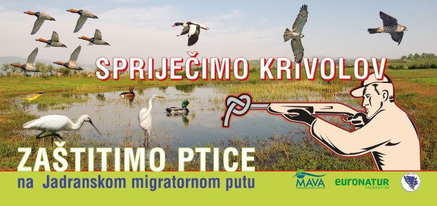 Kampanja “Spriječimo krivolov – Zaštitimo ptice na Jadranskom migratornom putu”
