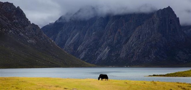 Hoće li ovo biti najveći nacionalni park na svijetu?