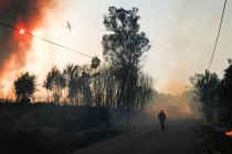 U Portugalu ponovo besne šumski požari