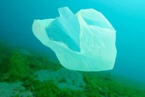 Alarmantno: Do 2050. u moru će biti više plastike nego ribe!