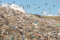 Kina uvodi zabranu uvoza na 24 vrste krutog otpada