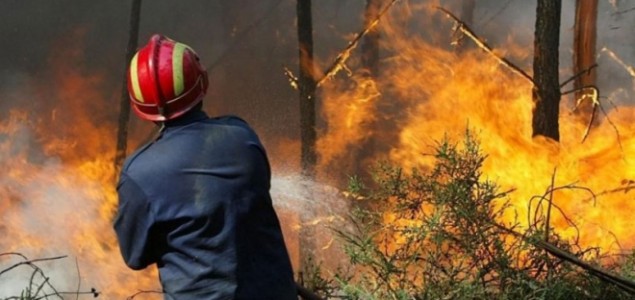Na požarištima oko Trebinja stanje nije alarmantno, ljudi i objekti nisu ugroženi