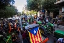 Katalonija: Najteža politička kriza u posljednjih 40 godina