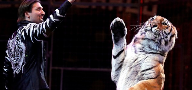 Irska zabranjuje divlje životinje u cirkusima