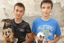 Dječaci iz Modriče Nemanja i Bogdan napravili azil za pse i mačke od svog džeparca