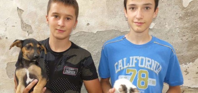 Dječaci iz Modriče Nemanja i Bogdan napravili azil za pse i mačke od svog džeparca