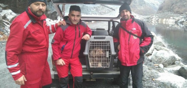 Pogledajte akciju spašavanja psa na Jablaničkom jezeru